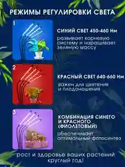 Светодиодная фитолампа, для цветов и растений