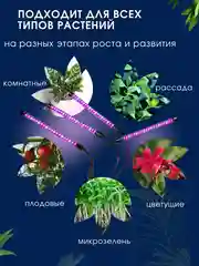 Светодиодная фитолампа, для цветов и растений