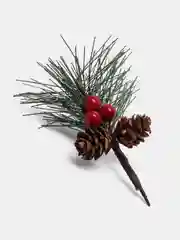 Зеленый ветка еловая с ягодами