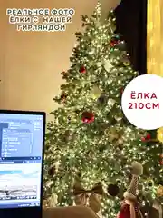 Зеленый гирлянда Нить, Роса