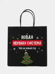 Пакет подарочный новогодний, 22 х 22 х 11 см, Новый год