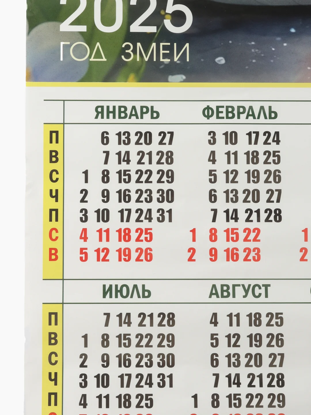 Лайм календарь 2025  настенный Змея символ года, размер 49,5*44 см