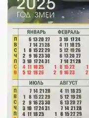 Лайм календарь 2025  настенный Змея символ года, размер 49,5*44 см