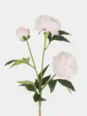 Разноцветный пионы искусственные цветы большая ветка 3 бутона, пион искусственный