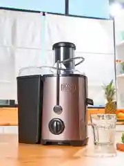 Соковыжималка Black+Decker BXJE600E