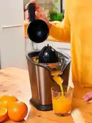 Соковыжималка для цитрусовых Black+Decker BXCJ100E