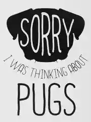 Отркрытка "Sorry"