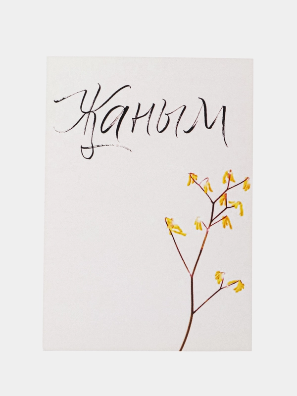 Открытка "Жаным"