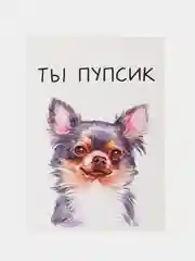 Открытка "Ты пупсик"