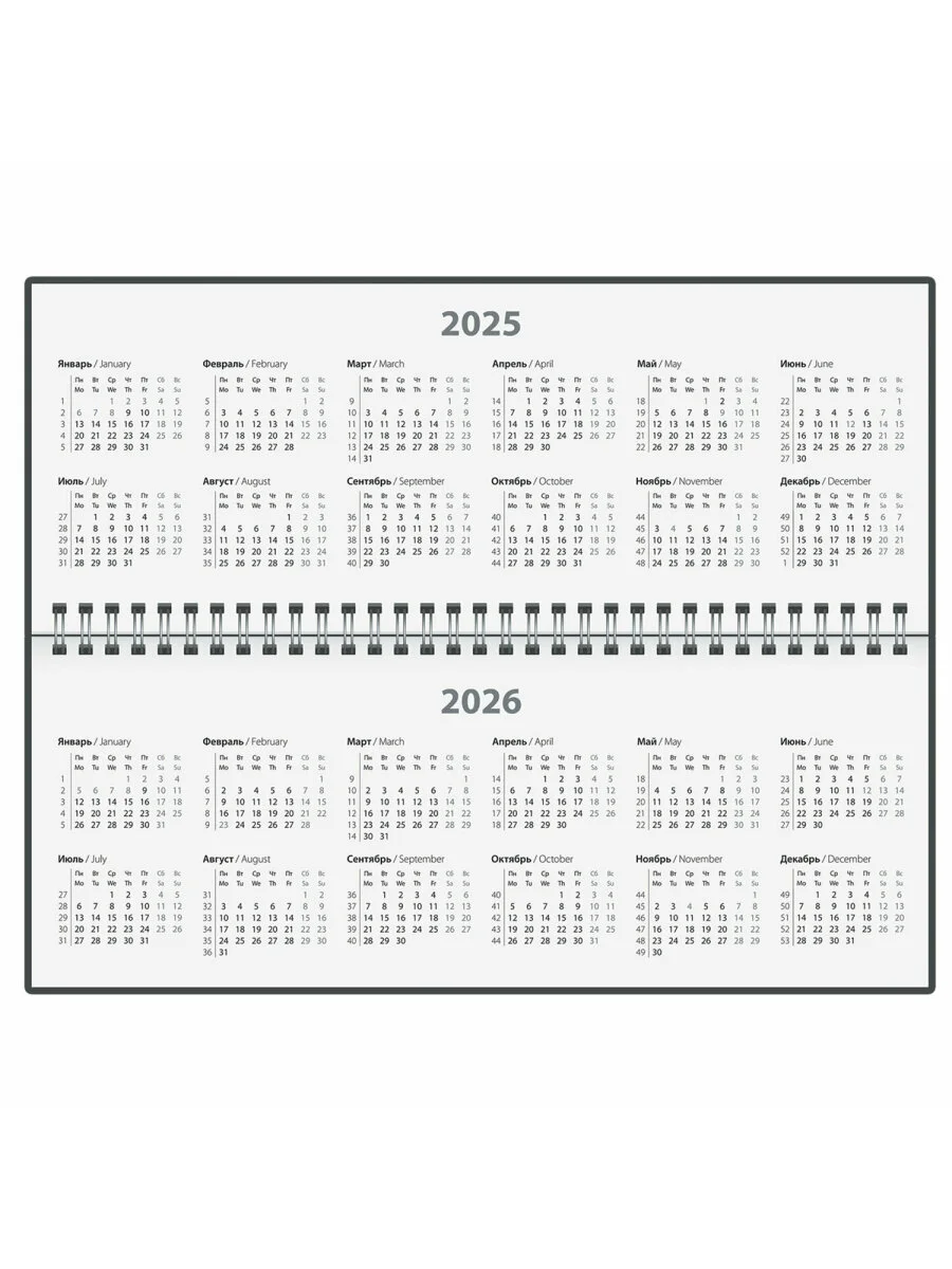 Еженедельник датированный 2025 Staff, 116051, планинг, планер, 285х112 мм, настольный