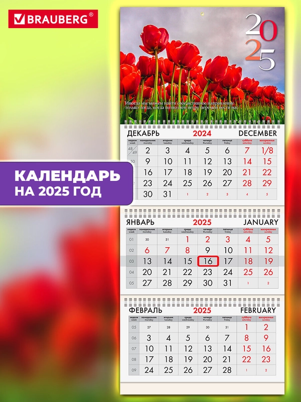 Календарь настенный квартальный отрывной 2025 Brauberg Тюльпаны, 116109