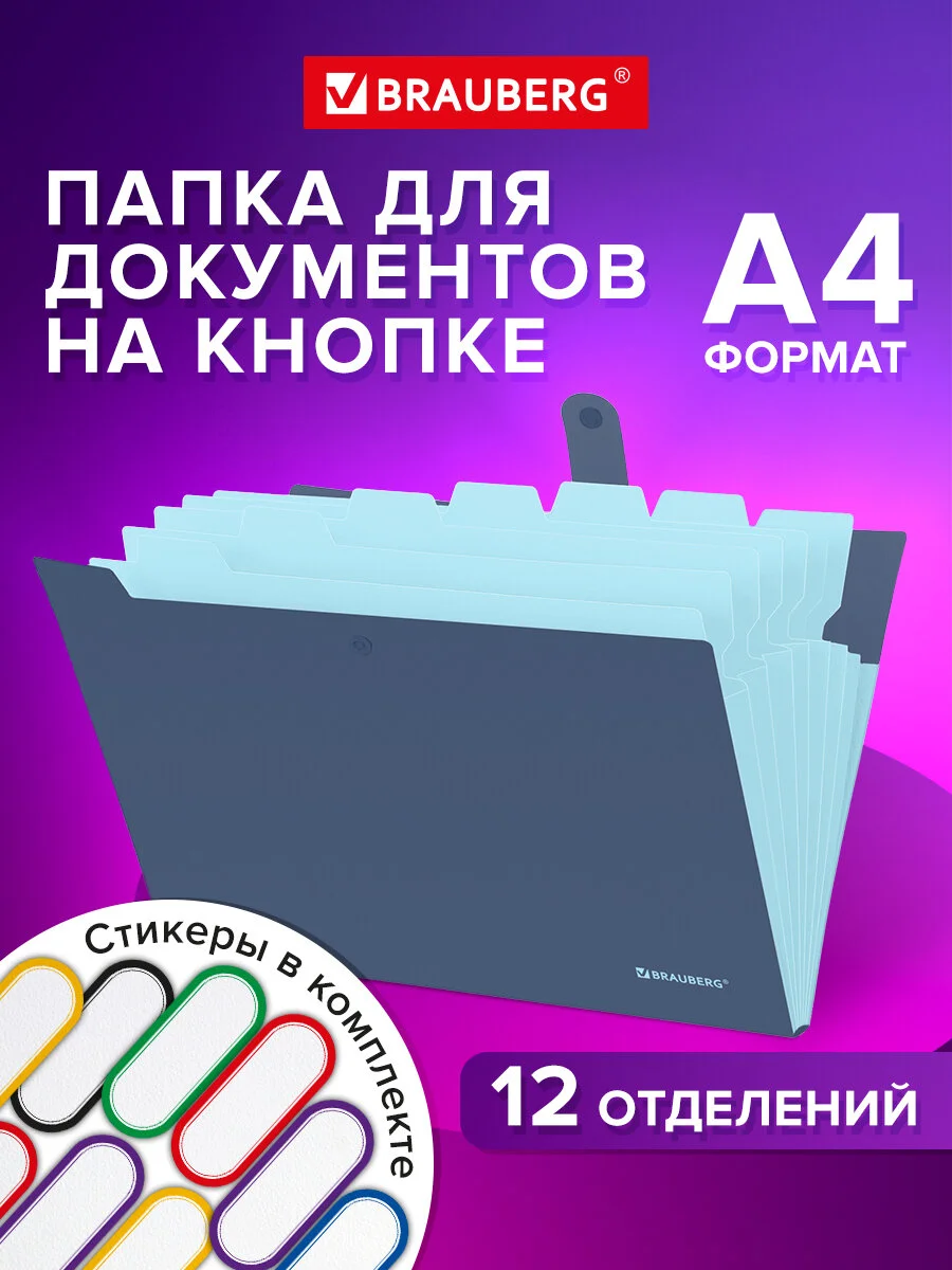 Папка для документов А4 канцелярская с файлами на кнопке 12 секций, Brauberg Extra, 271933