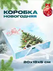 Ледяной коробка новогодняя подарочная для новогоднего подарка, 6 видов