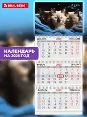 Календарь настенный квартальный отрывной 2025 Brauberg Милые котики, 116138