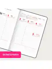 Еженедельник датированный 2025 Brauberg, планер, планинг, записная книжка А4