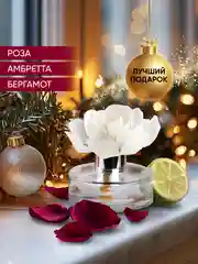 Диффузор для дома, ароматизатор с палочками Breesal Arome Fleur Шлейф волшебства