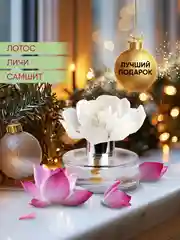 Диффузор для дома ароматический, 60 мл