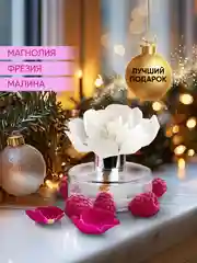 Диффузор для дома ароматический, 60 мл