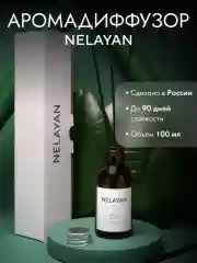 Манго аромадиффузор NELAYAN для дома с палочками, 100 мл