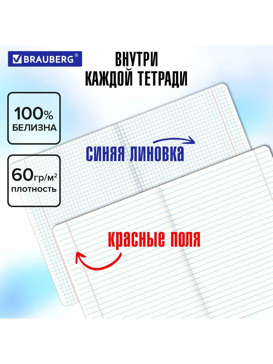 Предметные тетради 48 л набор A5 в клетку и линейку 12 штук, обложка аниме, Brauberg Anime