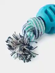 Синий игрушка для собак мяч на канате
