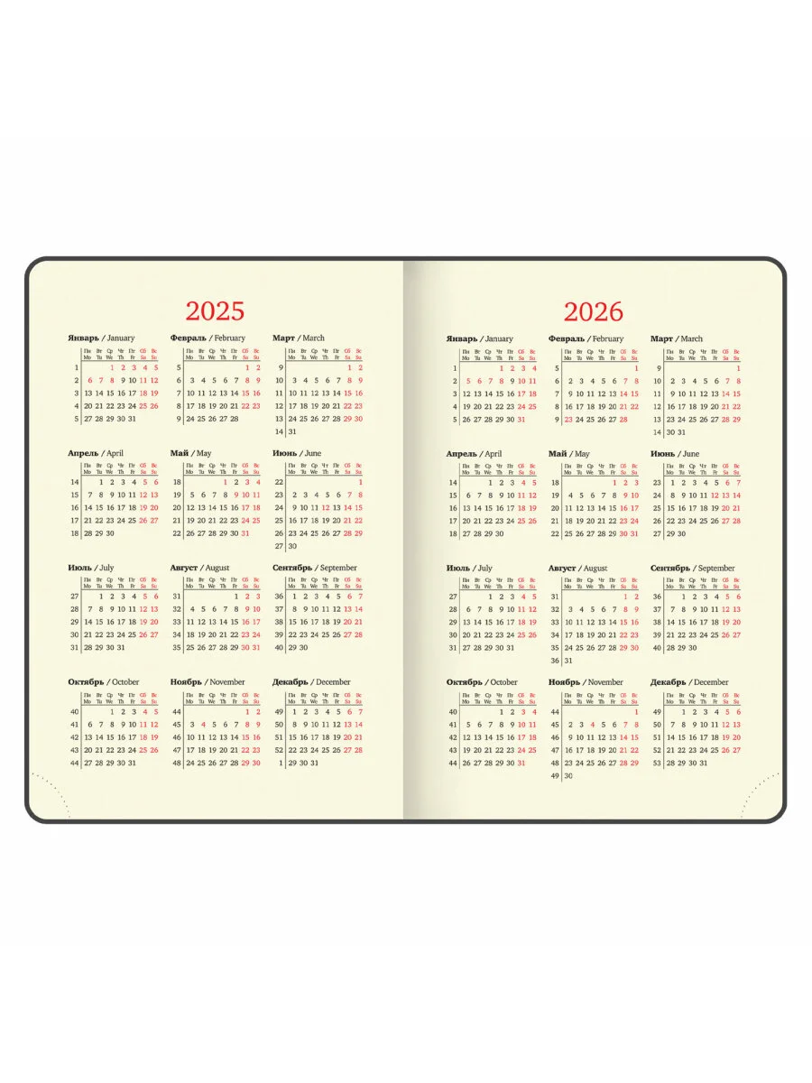 Ежедневник датированный 2025 Brauberg, планер планинг записная книжка А5, под кожу