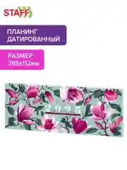 Еженедельник датированный 2025 Staff, 116052, планинг, планер, 285х112 мм, настольный
