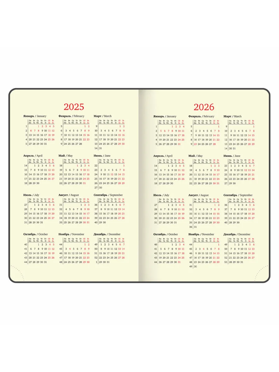 Ежедневник датированный 2025 Brauberg, планер планинг записная книжка А5, под кожу