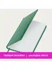 Ежедневник датированный 2025 Brauberg, планер планинг записная книжка А5, балакрон