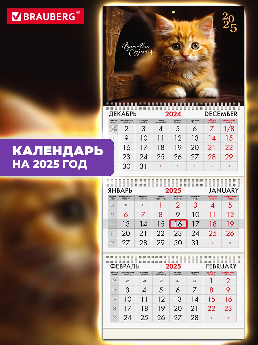 Календарь настенный квартальный отрывной 2025 Brauberg Котенок, 116106