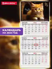 Календарь настенный квартальный отрывной 2025 Brauberg Котенок, 116106