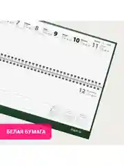 Еженедельник датированный 2025 Staff, планинг, 300х130 мм, на гребне, 64 листа