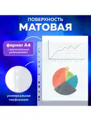 Папки-файлы перфорированные А4 BRAUBERG "EXTRA 700", КОМПЛЕКТ 50 шт., матовые, ПЛОТНЫЕ