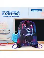Сумка для сменной обуви, мешок для сменки Brauberg Premium, карман, светоотражайка, 271621