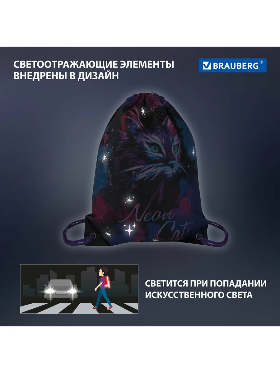 Сумка для сменной обуви, мешок для сменки Brauberg Premium, карман, светоотражайка, 271621