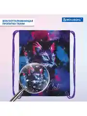 Сумка для сменной обуви, мешок для сменки Brauberg Premium, карман, светоотражайка, 271621