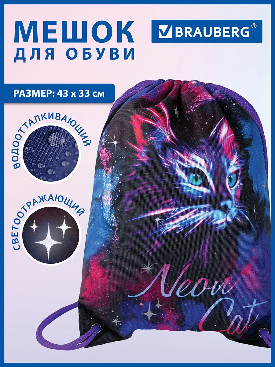 Сумка для сменной обуви, мешок для сменки Brauberg Premium, карман, светоотражайка, 271621