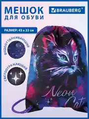 Сумка для сменной обуви, мешок для сменки Brauberg Premium, карман, светоотражайка, 271621