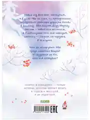CLEVER-чтение. Секрет в чемодане