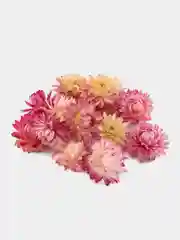 Кораллово-розовый сухоцветы: розы бутоны, гомфрена, жасмин, ромашка, лаванда, апельсин