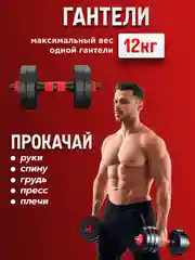 Гантели разборные Новогодний Комплект 12 кг 2 шт общй вес 24 кг