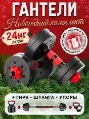 Гантели разборные Новогодний Комплект 12 кг 2 шт общй вес 24 кг