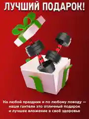 Гантели разборные Новогодний Комплект 12 кг 2 шт общй вес 24 кг