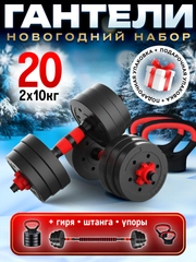 Гантели разборные Новогодний комплект 10 кг 2 шт общий вес 20