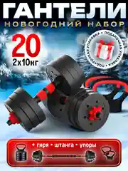 Гантели разборные Новогодний комплект 10 кг 2 шт общий вес 20