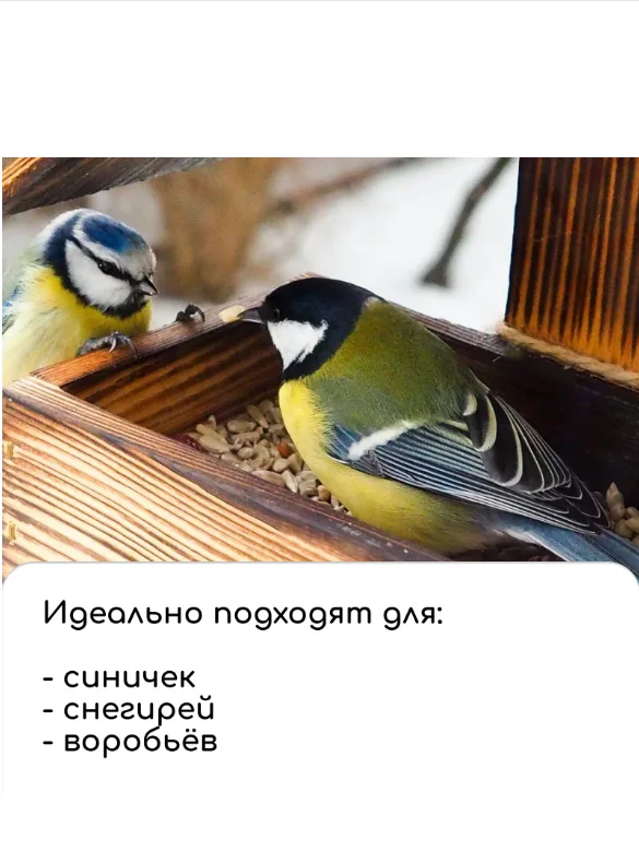 Кормушка для птиц "Птички", 15 х 16 х 24 см, Greengo (vvv)