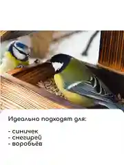 Кормушка для птиц "Птички", 15 х 16 х 24 см, Greengo (vvv)