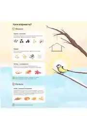 Кормушка для птиц "Птички", 15 х 16 х 24 см, Greengo (vvv)