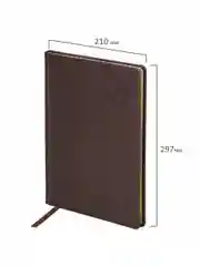 Еженедельник датированный 2025 Brauberg, планер, планинг, записная книжка А4
