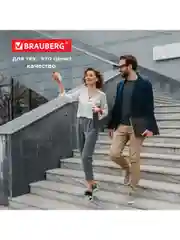 Папка для бумаг и документов с замком и 13 отделениями BRAUBERG HIT, А4, пластик, черная